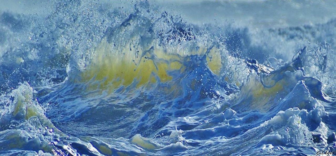 Le Clos Des Agapanthes Plogonnec المظهر الخارجي الصورة